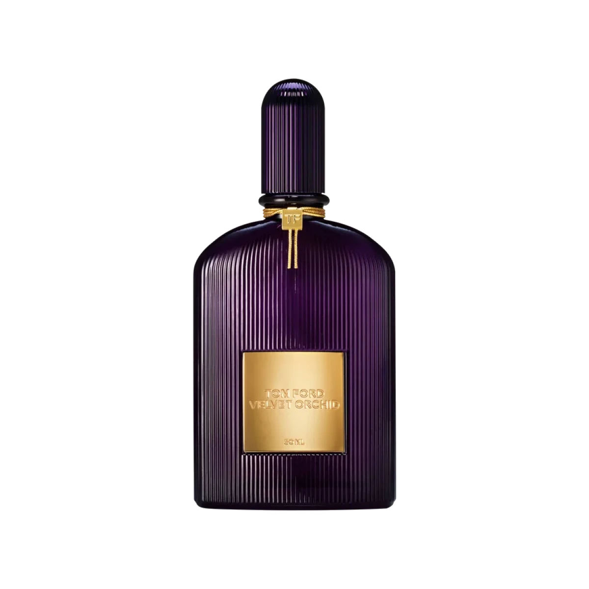 Velvet Orchid