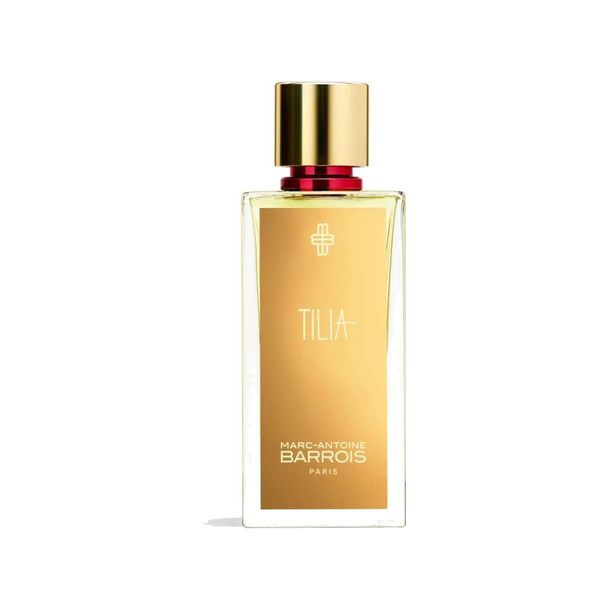 Tilia